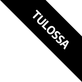 Sinkun Mindset verkkokurssi